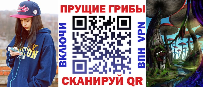 Псилоцибиновые грибы прущие грибы  Верхняя Пышма 