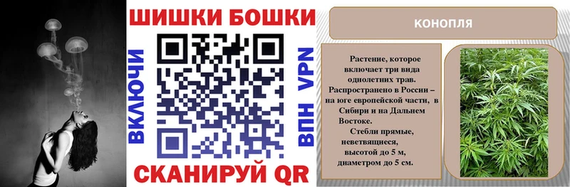 купить закладку Верхняя Пышма Шишки марихуана AK-47